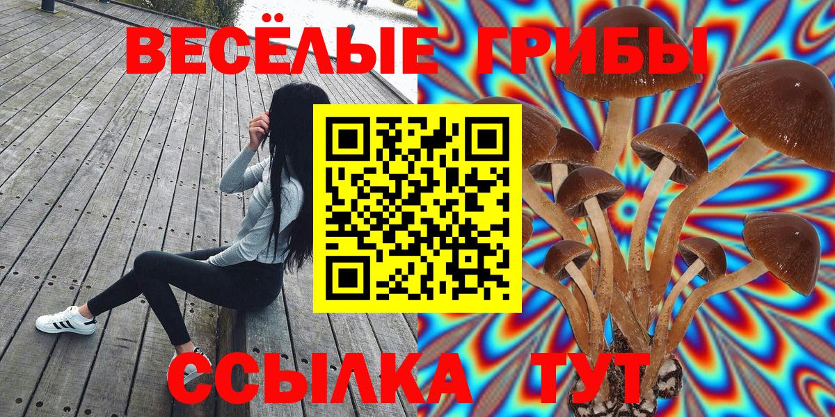 Псилоцибиновые грибы Magic Shrooms Камень-на-Оби