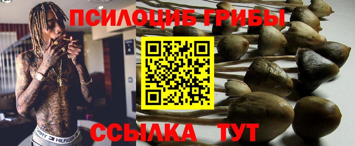Камень-на-Оби  Галлюциногенные грибы Magic Shrooms  Вход с VPN 